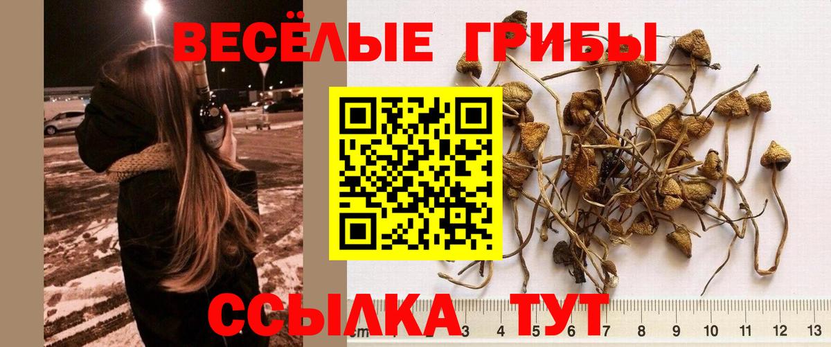 Псилоцибиновые грибы Magic Shrooms  Вход с VPN  Ржев 